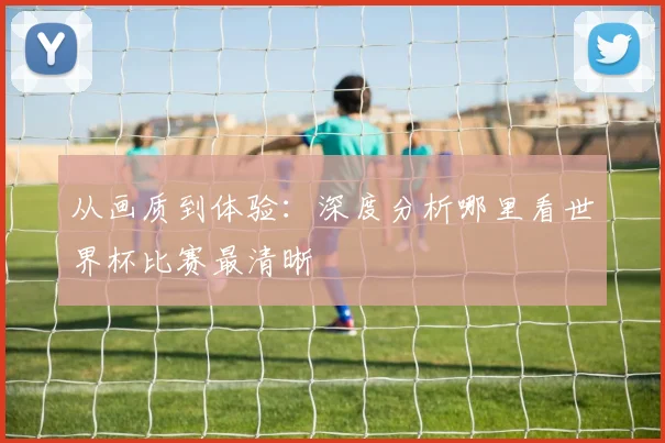 从画质到体验：深度分析哪里看世界杯比赛最清晰