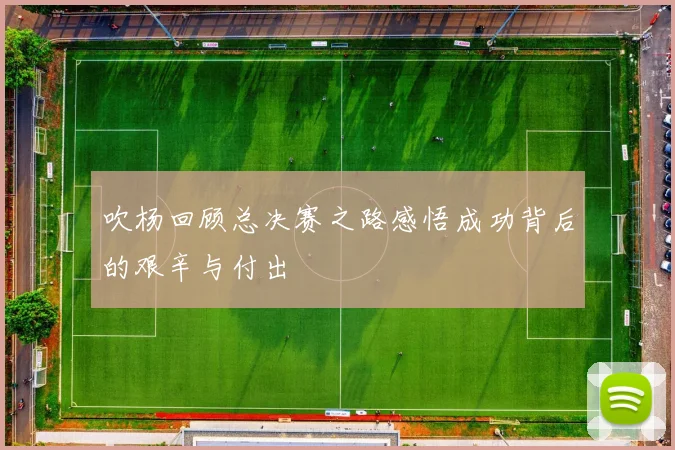 吹杨回顾总决赛之路感悟成功背后的艰辛与付出