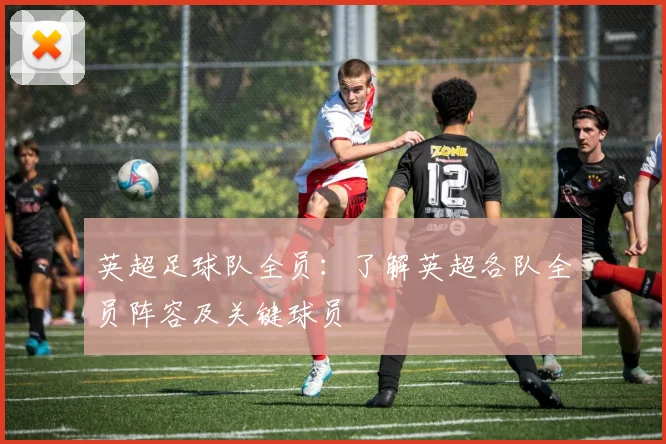 英超足球队全员：了解英超各队全员阵容及关键球员